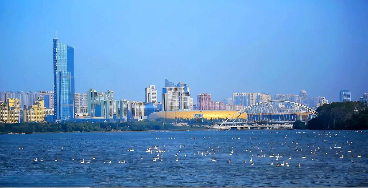 三门峡酒店设计公司哪家靠谱？2026三门峡酒店装修推荐