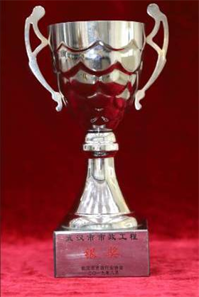 武汉市市政工程银奖