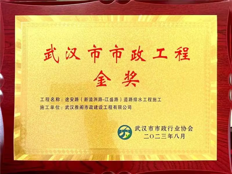 武汉市市政工程金奖